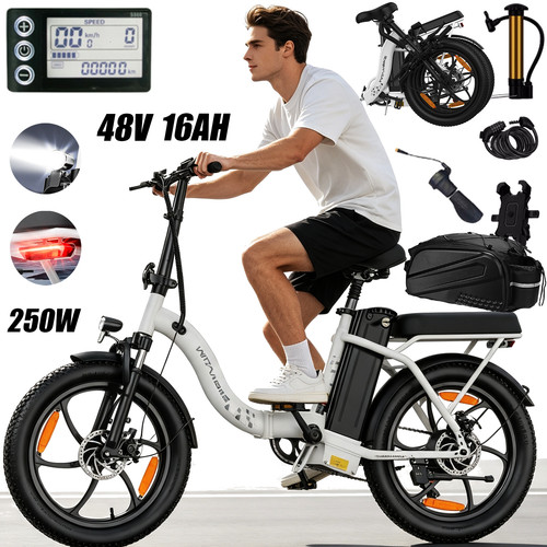 Bicicletta elettrica