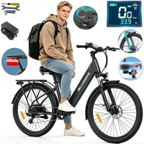 Bicicletta elettrica 5 - bicicletta,