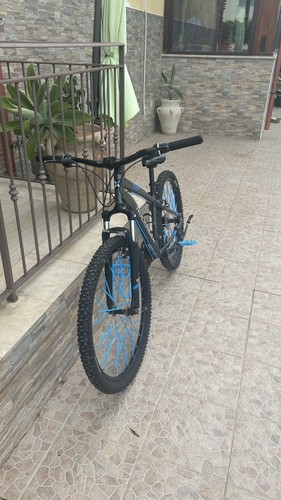 Bicicletta mountain bike - mountain,